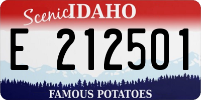 ID license plate E212501