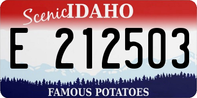 ID license plate E212503
