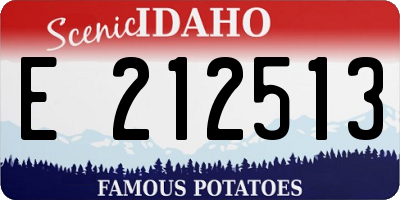 ID license plate E212513