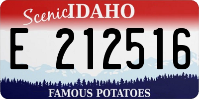 ID license plate E212516
