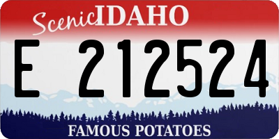 ID license plate E212524
