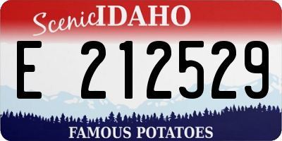ID license plate E212529