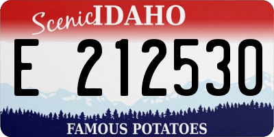ID license plate E212530