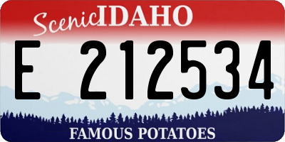 ID license plate E212534