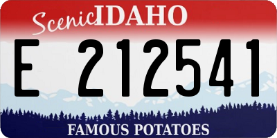 ID license plate E212541