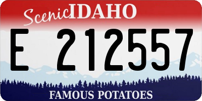 ID license plate E212557