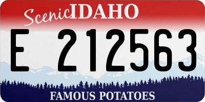 ID license plate E212563