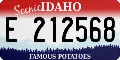 ID license plate E212568