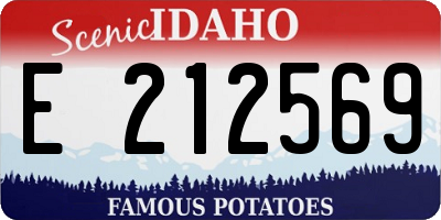ID license plate E212569