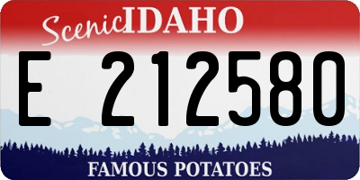 ID license plate E212580