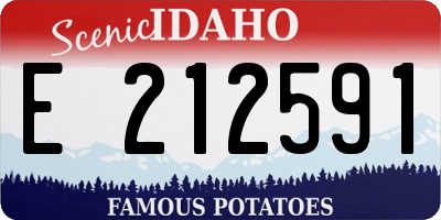 ID license plate E212591