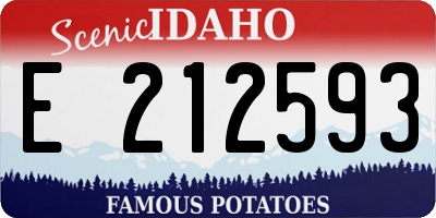 ID license plate E212593