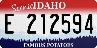 ID license plate E212594