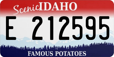 ID license plate E212595