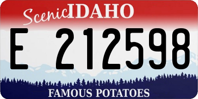 ID license plate E212598