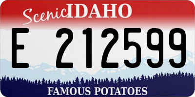 ID license plate E212599