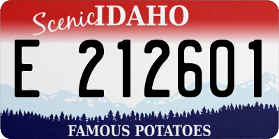 ID license plate E212601