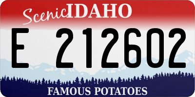 ID license plate E212602