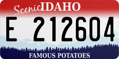 ID license plate E212604