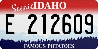 ID license plate E212609