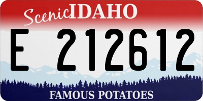 ID license plate E212612
