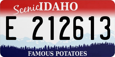 ID license plate E212613