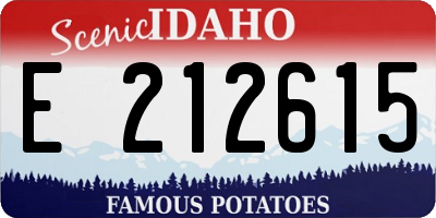 ID license plate E212615