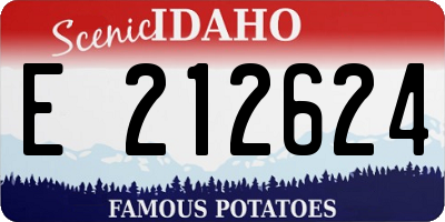 ID license plate E212624