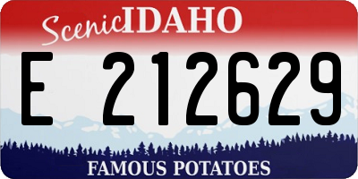 ID license plate E212629