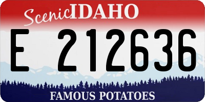 ID license plate E212636