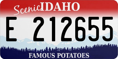 ID license plate E212655