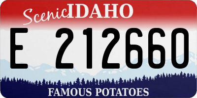 ID license plate E212660