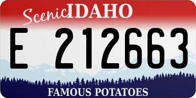 ID license plate E212663