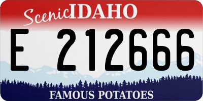 ID license plate E212666