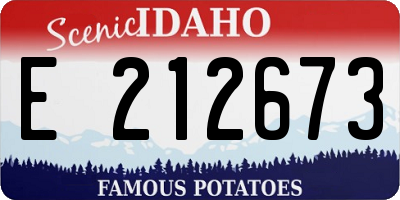ID license plate E212673