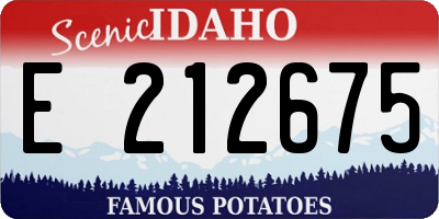 ID license plate E212675