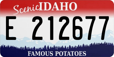 ID license plate E212677
