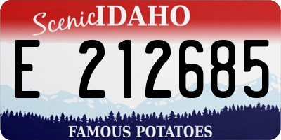 ID license plate E212685