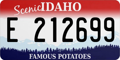 ID license plate E212699