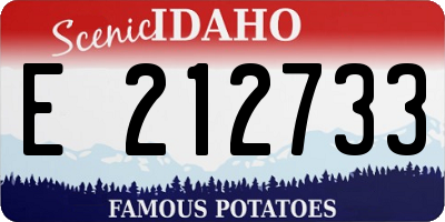 ID license plate E212733