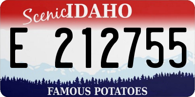 ID license plate E212755