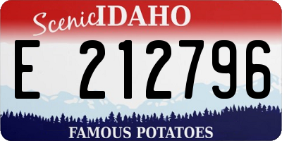 ID license plate E212796