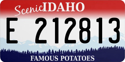 ID license plate E212813