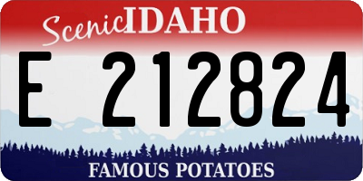 ID license plate E212824