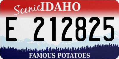 ID license plate E212825