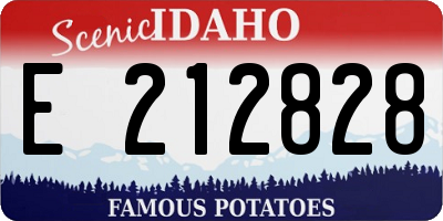 ID license plate E212828