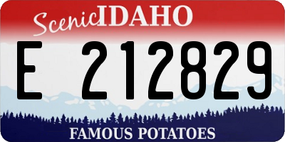 ID license plate E212829