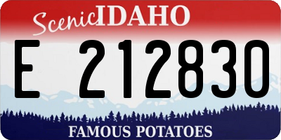 ID license plate E212830