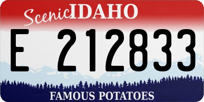ID license plate E212833