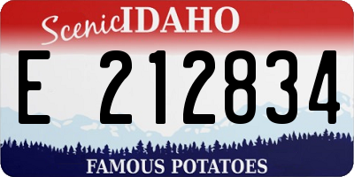 ID license plate E212834